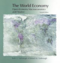 The World economy : open-economy macroeconomics and finance