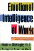 Emotional intelligence at work : the untapped edge for success