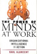 The power of minds at work : organizational intelligence in action
